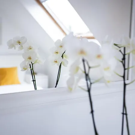 Orchidee 住宿加早餐酒店 *